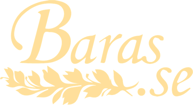 Baras.se